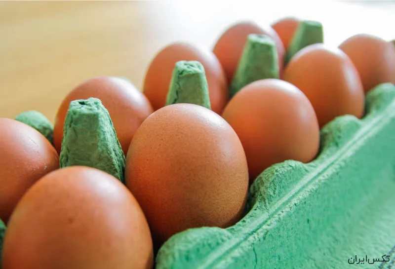 نگرانی بریتانیا از واردات تخم مرغ ارزان قیمت ترکیه ایی!